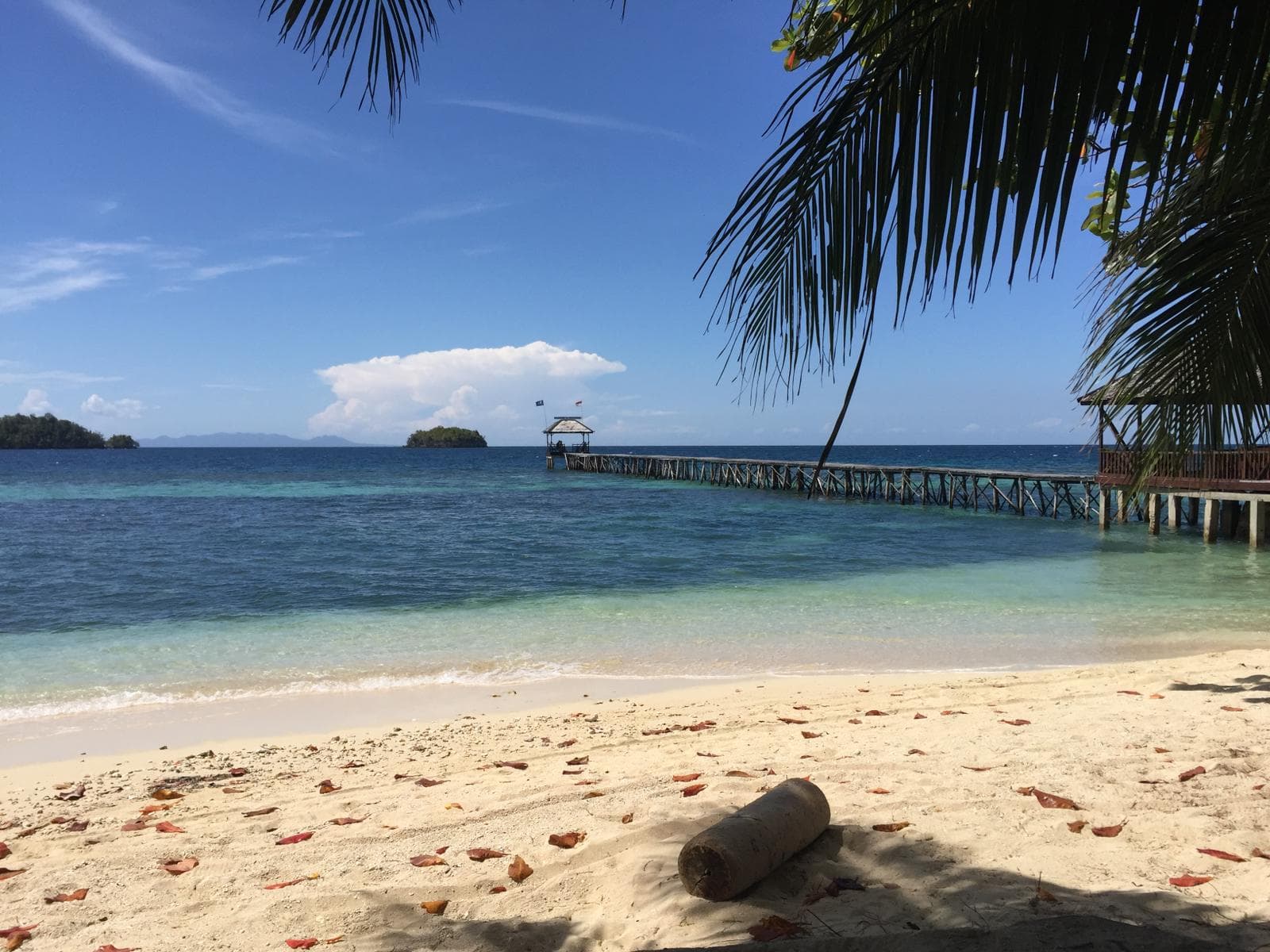 Trip gallery image 2