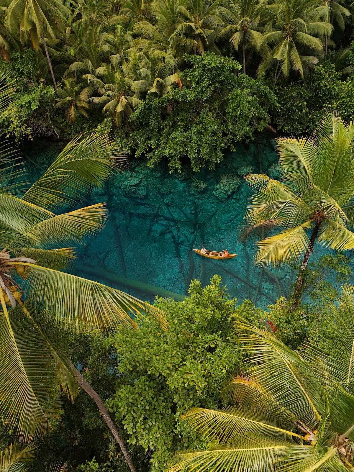 Trip gallery image 4