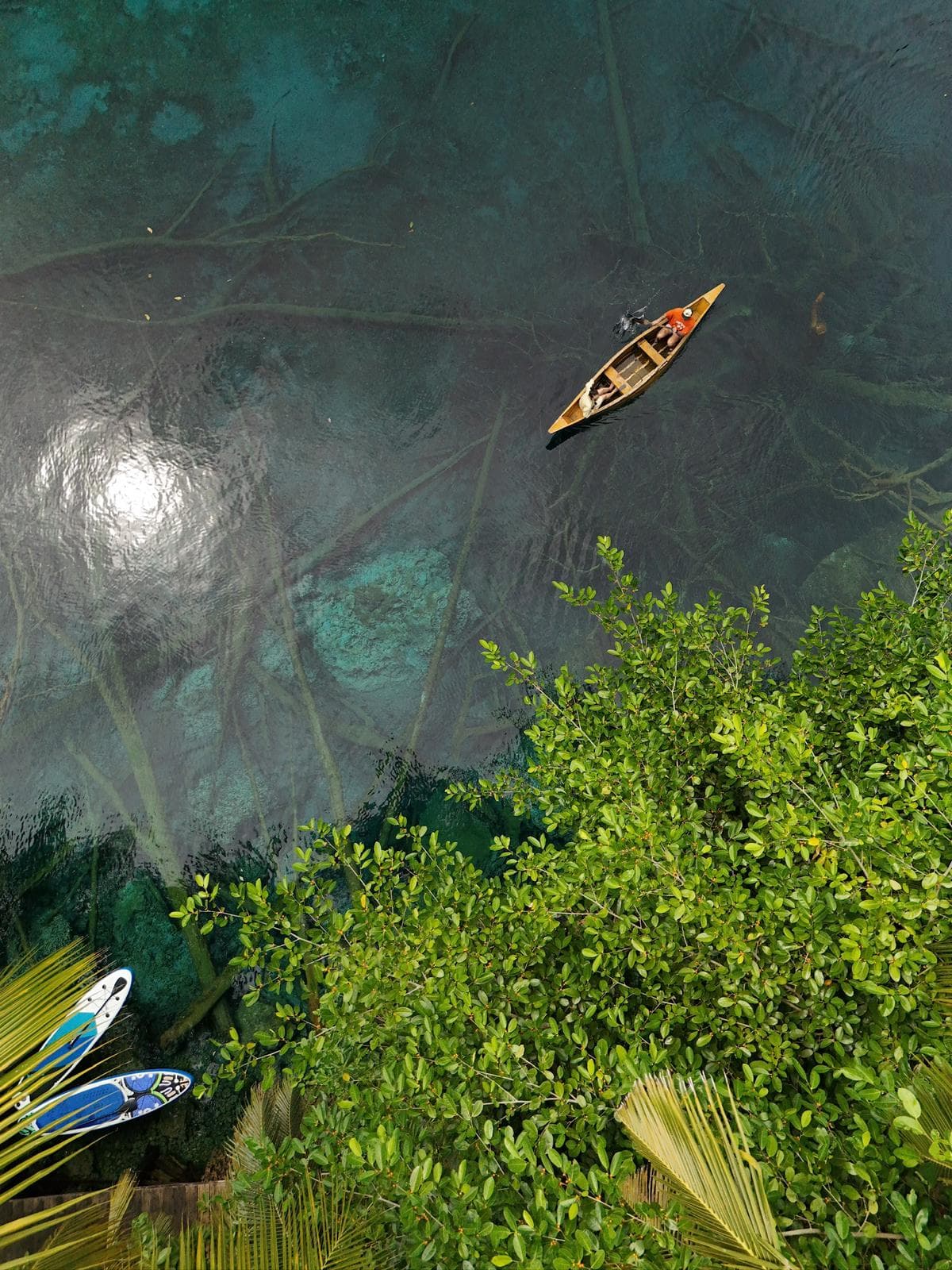 Trip gallery image 5