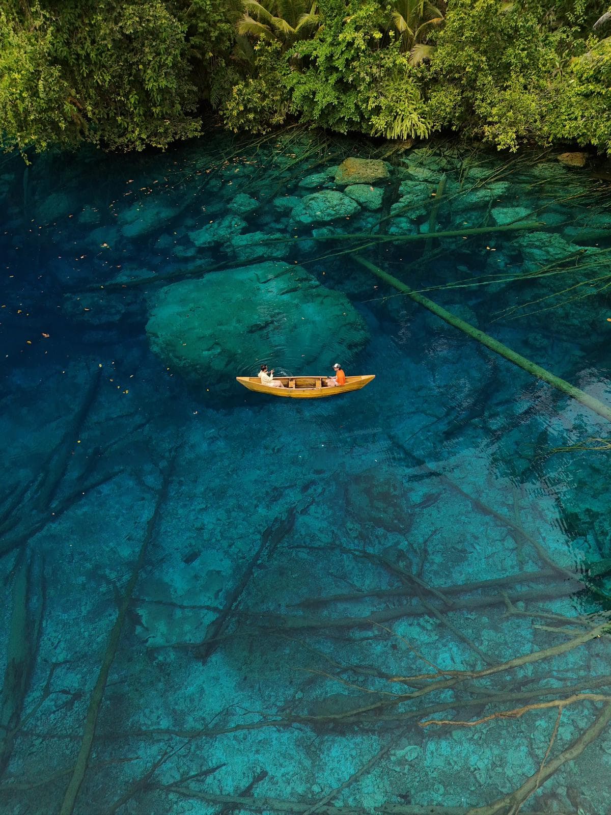 Trip gallery image 6