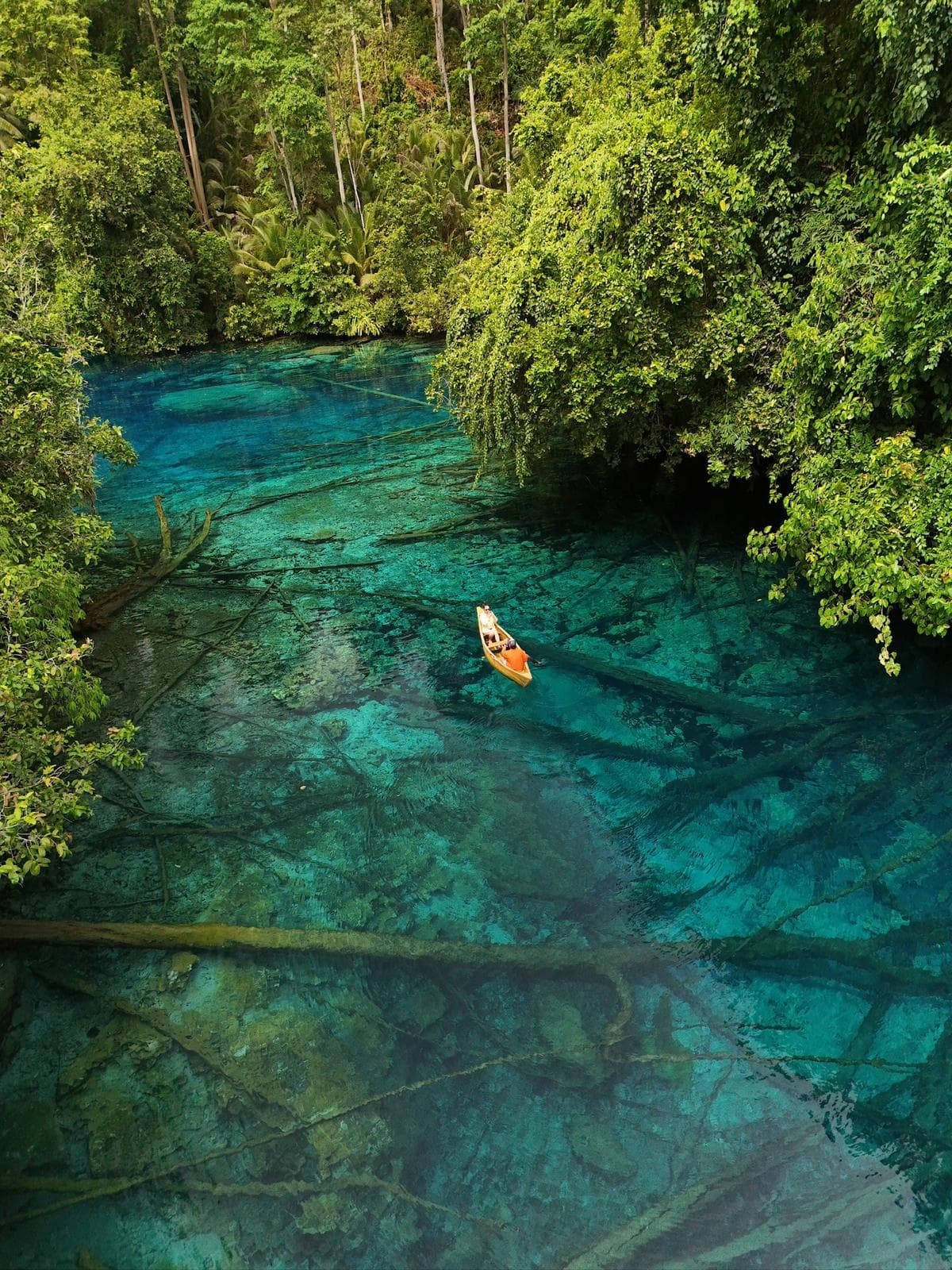 Trip gallery image 7