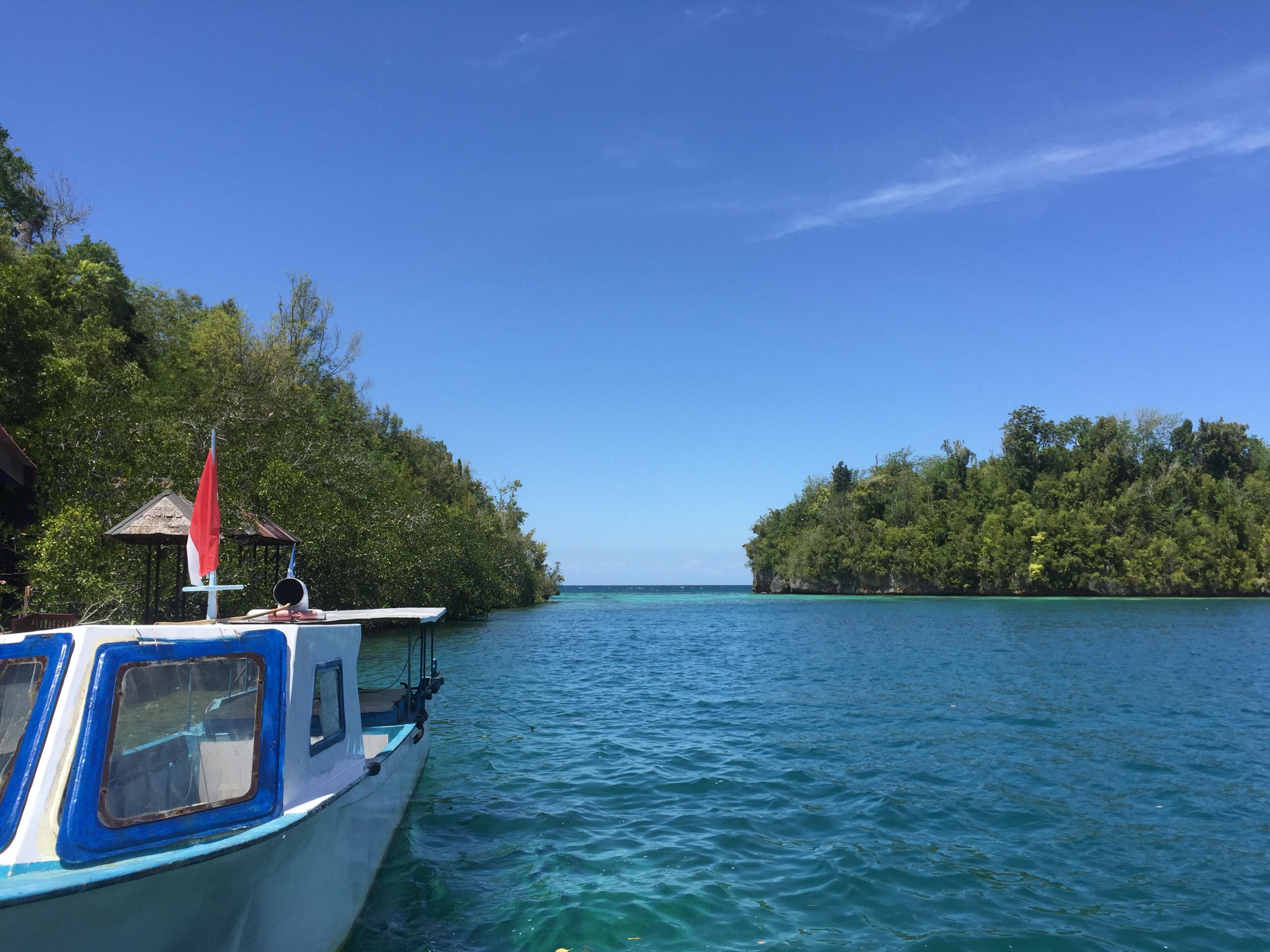 Trip gallery image 14